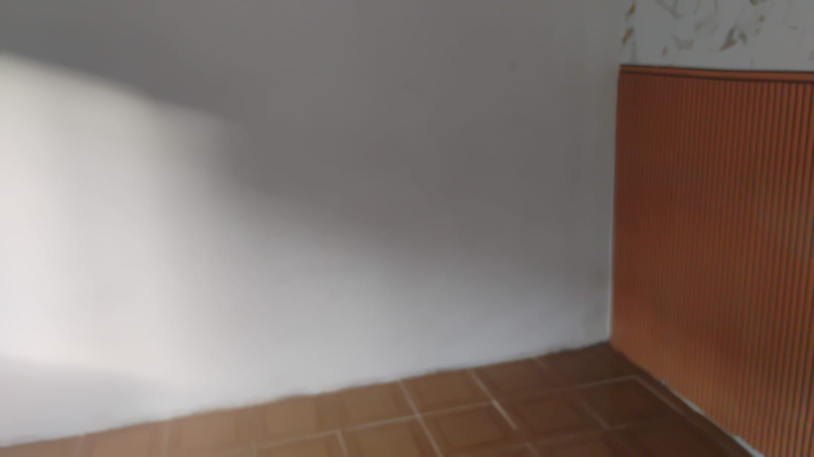 WhatsApp Image 2025-08-22 at 16.51.46.jpeg