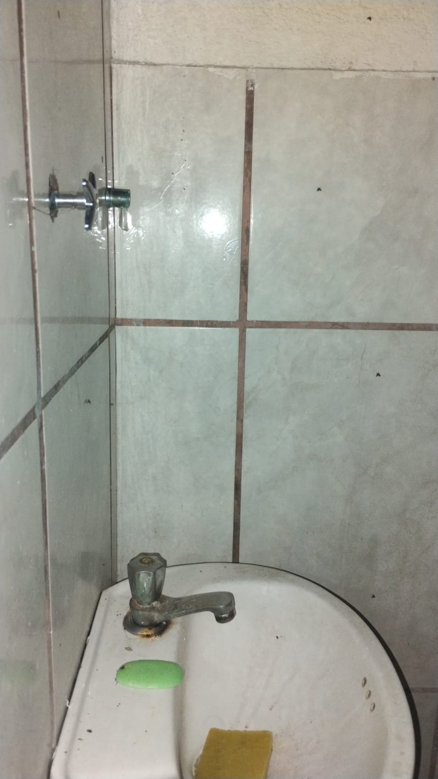 WhatsApp Image 2025-08-29 at 17.42.53.jpeg