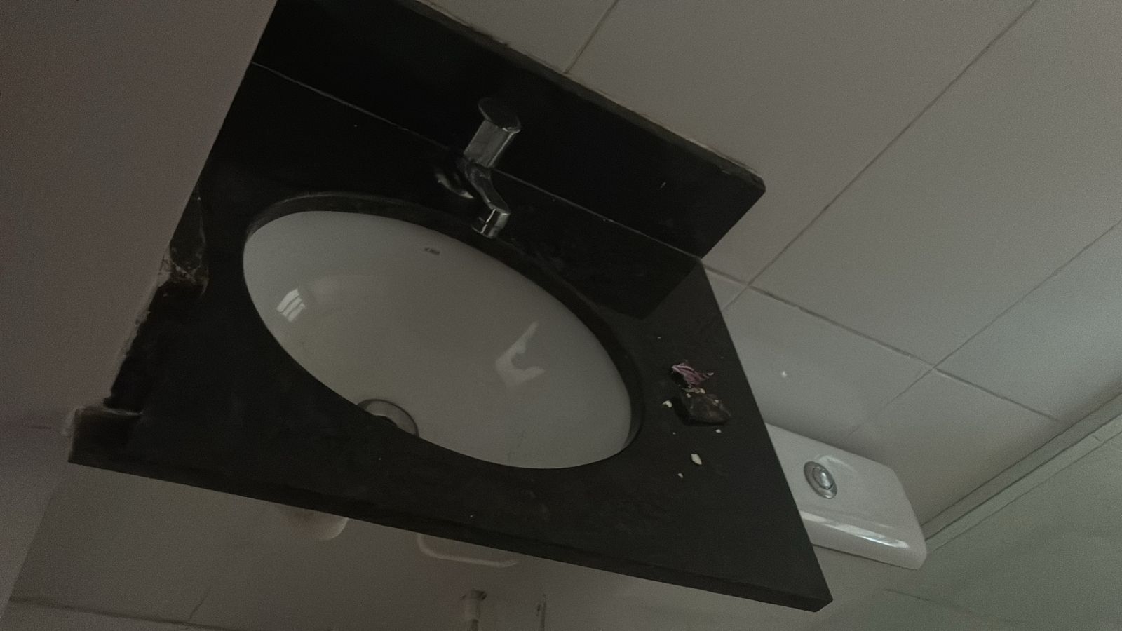 WhatsApp Image 2025-12-16 at 16.44.48.jpeg