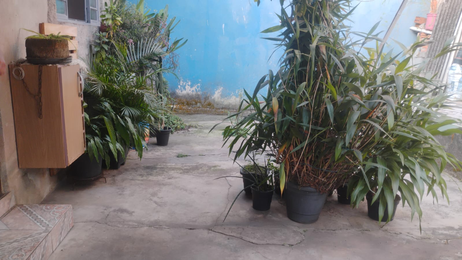 WhatsApp Image 2025-08-22 at 16.53.14.jpeg